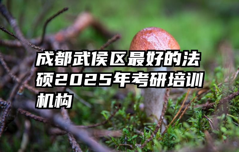 成都武侯区最好的法硕2025年考研培训机构
