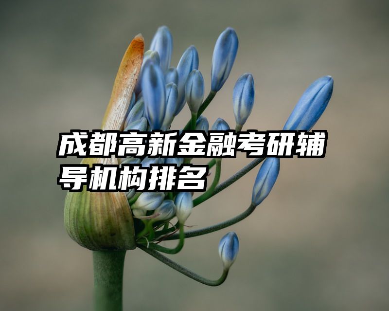 成都高新金融考研辅导机构排名