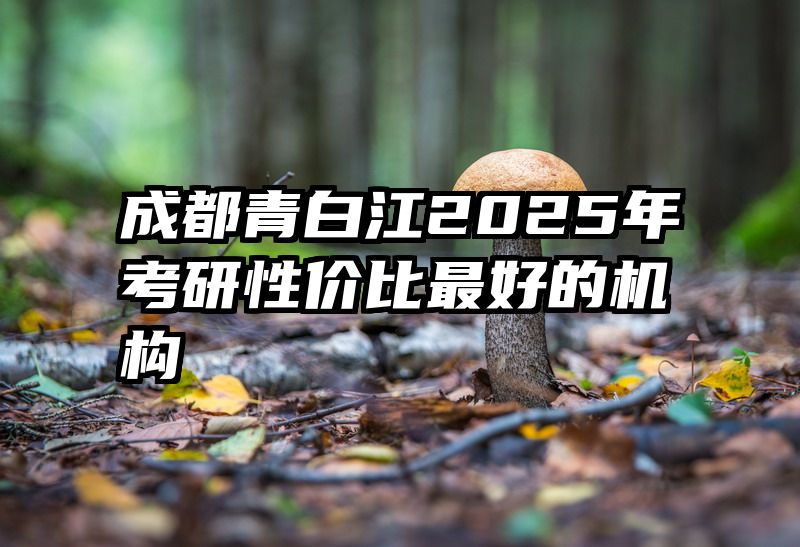 成都青白江2025年考研性价比最好的机构
