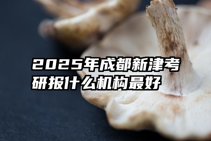 2025年成都新津考研报什么机构最好