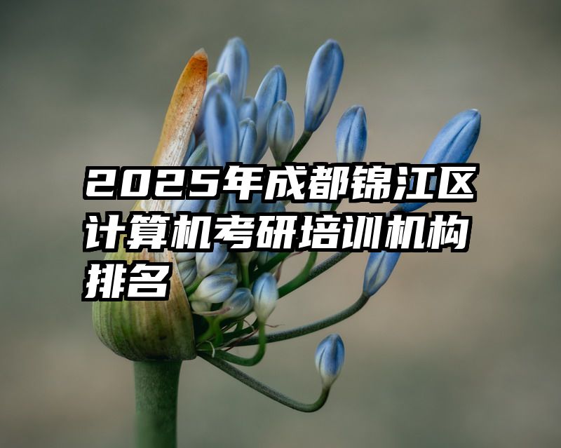 2025年成都锦江区计算机考研培训机构排名