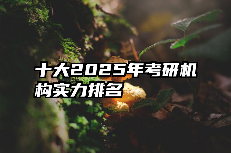 十大2025年考研机构实力排名