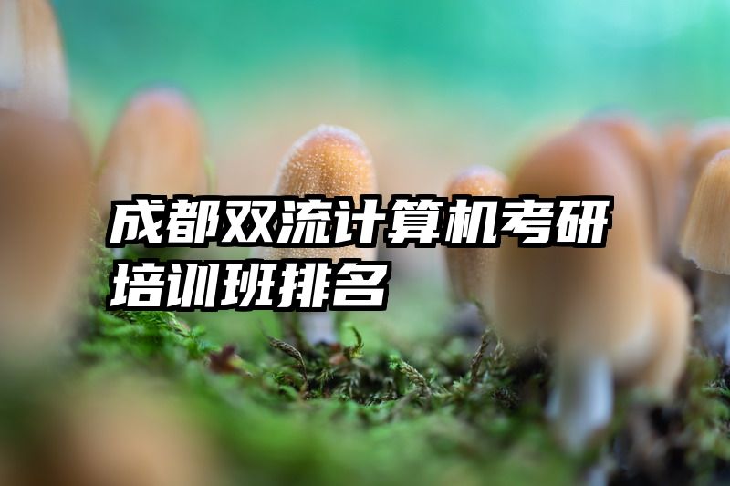 成都双流计算机考研培训班排名