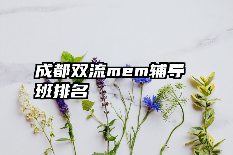 成都双流mem辅导班排名