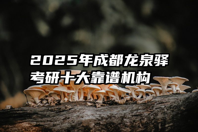 2025年成都龙泉驿考研十大靠谱机构