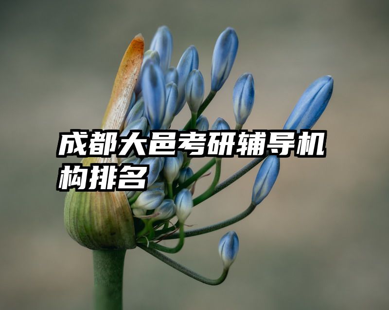 成都大邑考研辅导机构排名