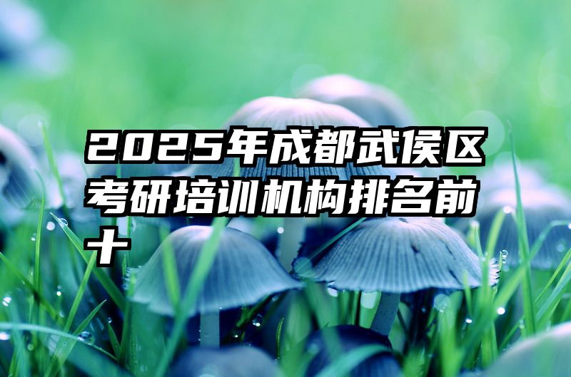 2025年成都武侯区考研培训机构排名前十