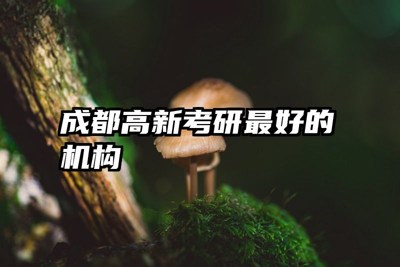 成都高新考研最好的机构