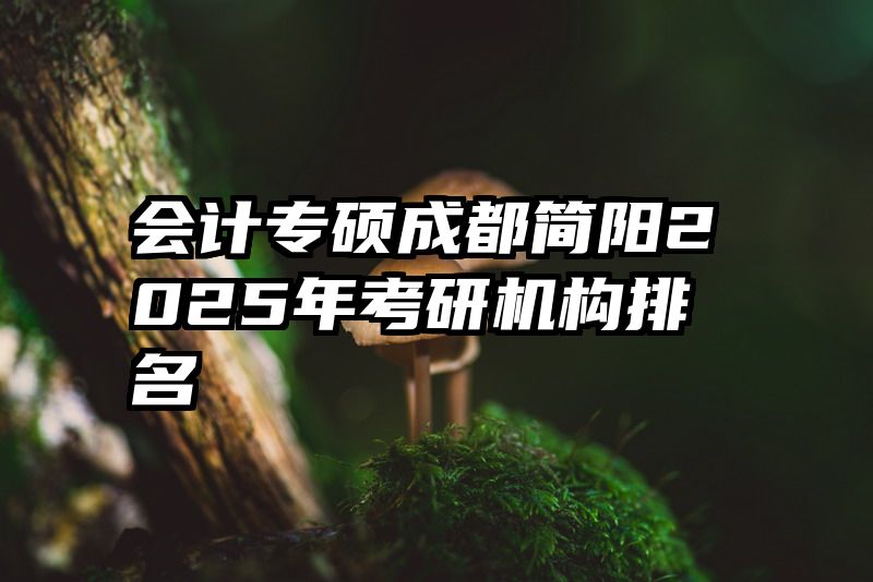 会计专硕成都简阳2025年考研机构排名