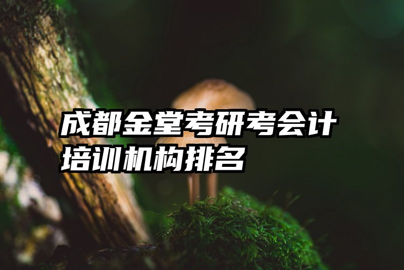 成都金堂考研考会计培训机构排名