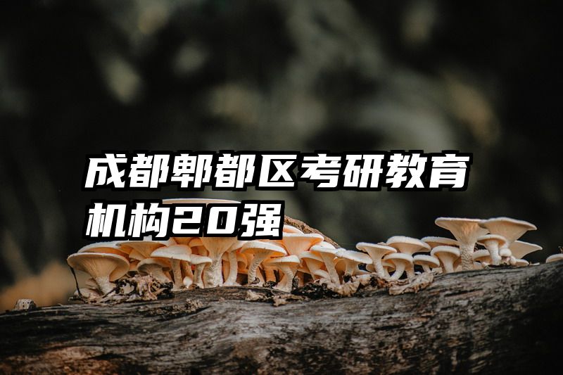 成都郫都区考研教育机构20强