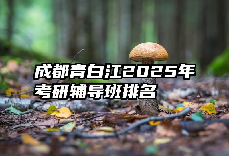 成都青白江2025年考研辅导班排名