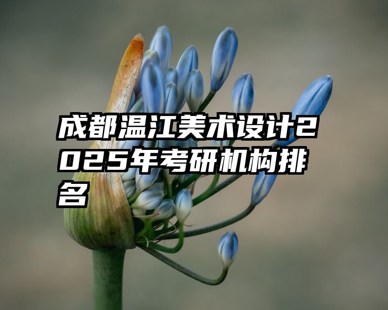 成都温江美术设计2025年考研机构排名