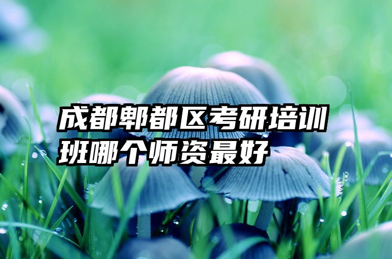成都郫都区考研培训班哪个师资最好