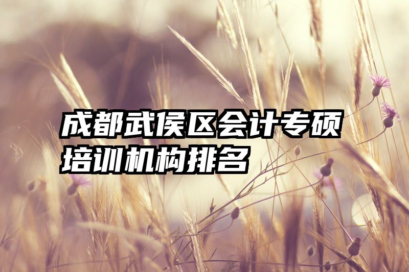 成都武侯区会计专硕培训机构排名