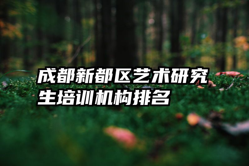 成都新都区艺术研究生培训机构排名