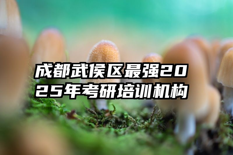 成都武侯区最强2025年考研培训机构