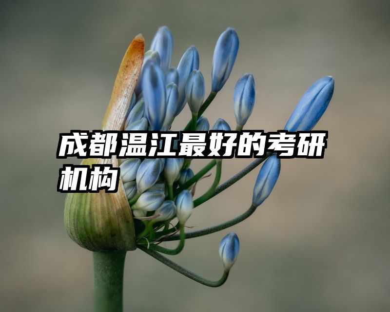 成都温江最好的考研机构