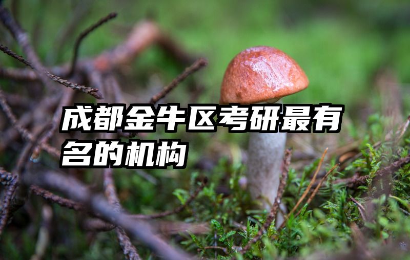 成都金牛区考研最有名的机构