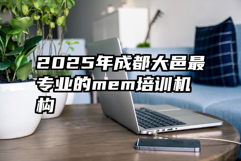 2025年成都大邑最专业的mem培训机构