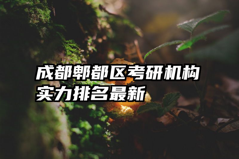 成都郫都区考研机构实力排名最新
