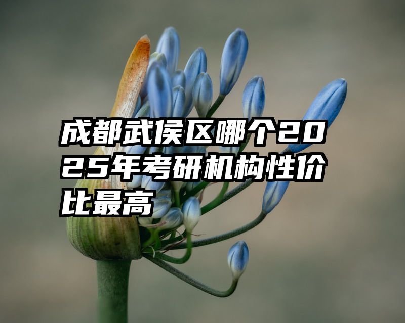 成都武侯区哪个2025年考研机构性价比最高