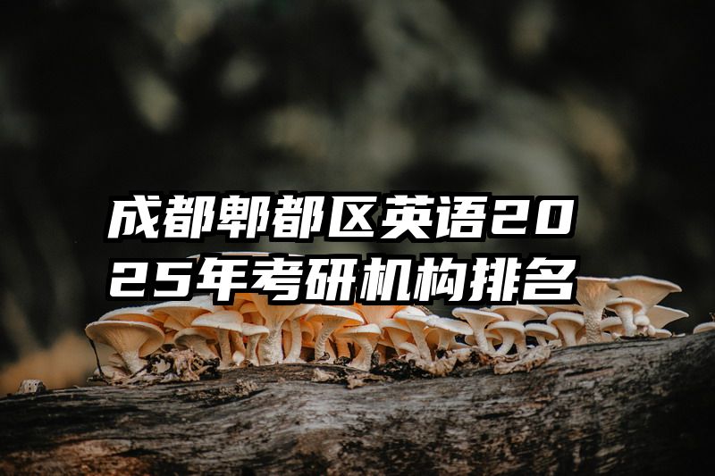 成都郫都区英语2025年考研机构排名