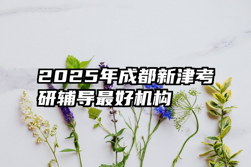 2025年成都新津考研辅导最好机构