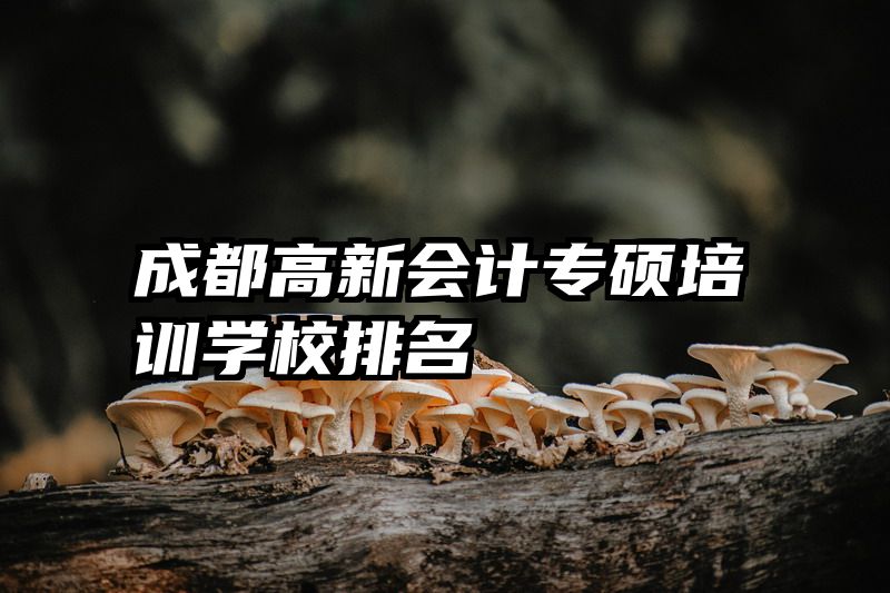 成都高新会计专硕培训学校排名
