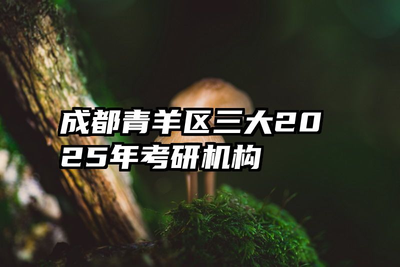 成都青羊区三大2025年考研机构