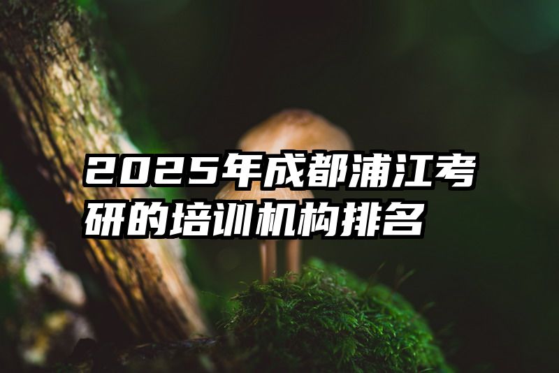 2025年成都浦江考研的培训机构排名