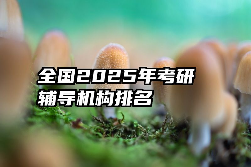 全国2025年考研辅导机构排名