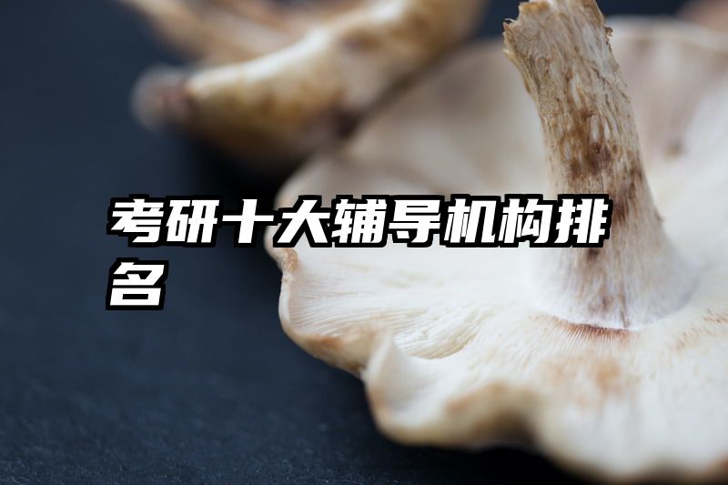 考研十大辅导机构排名