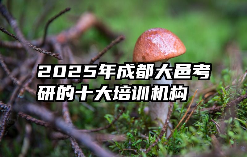 2025年成都大邑考研的十大培训机构