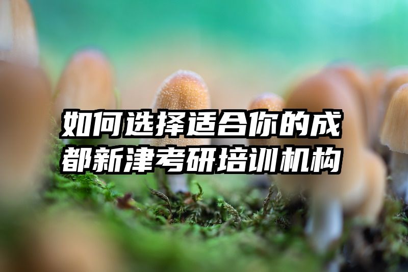 如何选择适合你的成都新津考研培训机构