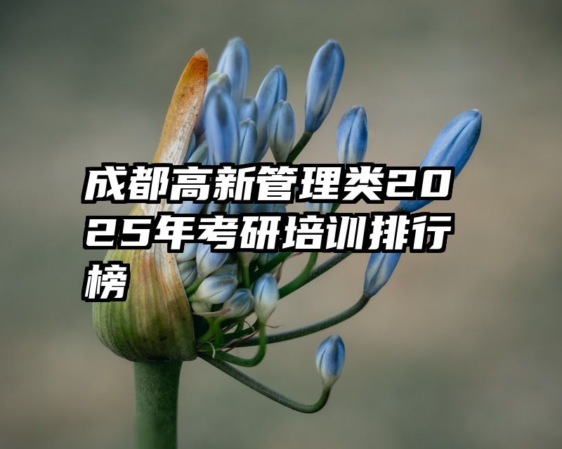 成都高新管理类2025年考研培训排行榜