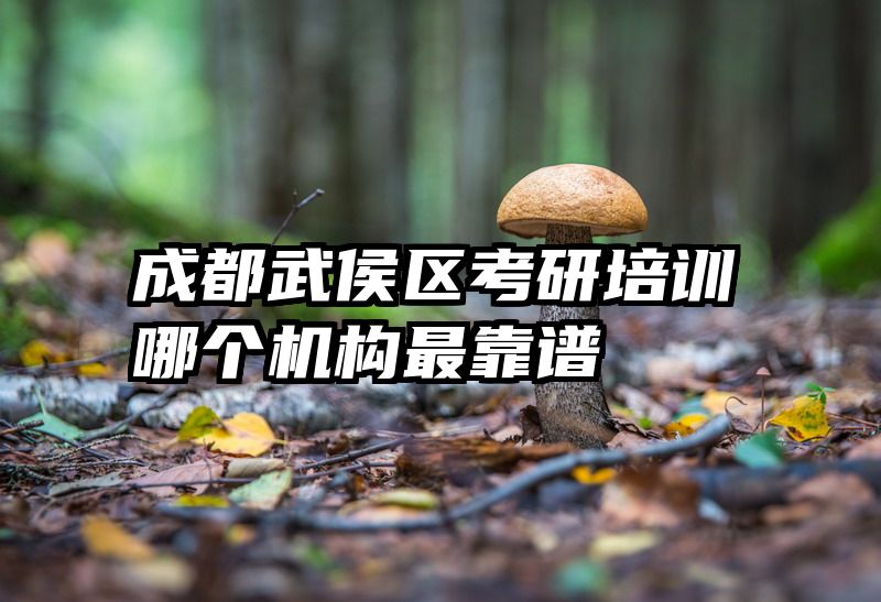 成都武侯区考研培训哪个机构最靠谱