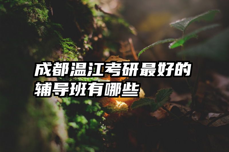 成都温江考研最好的辅导班有哪些