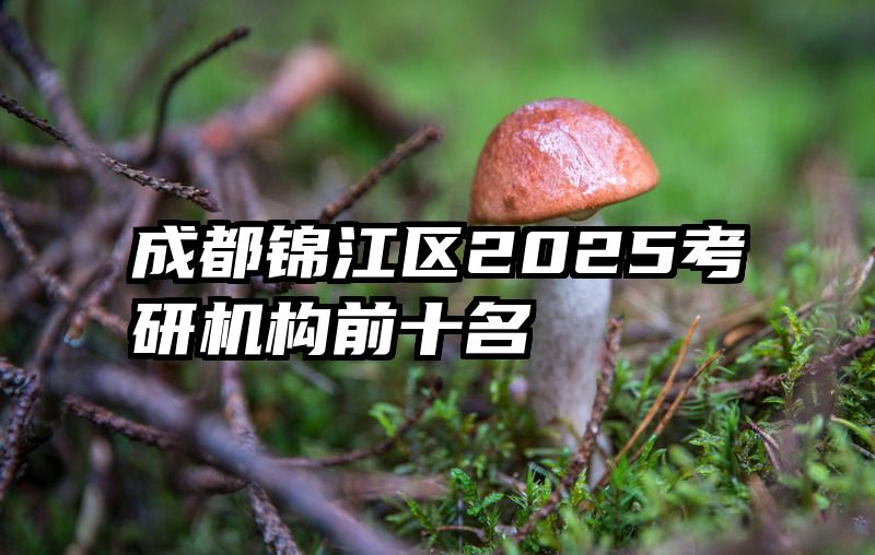 成都锦江区2025考研机构前十名