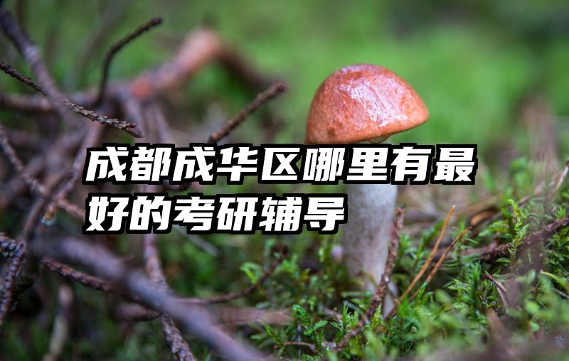 成都成华区哪里有最好的考研辅导