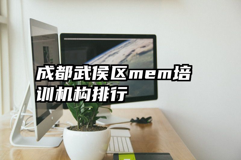 成都武侯区mem培训机构排行