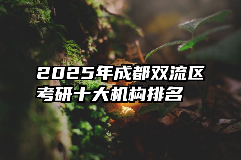 2025年成都双流区考研十大机构排名