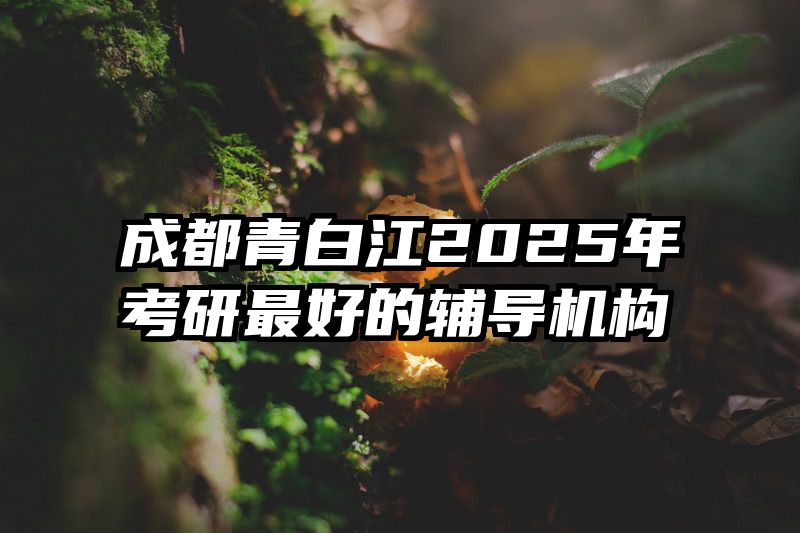 成都青白江2025年考研最好的辅导机构