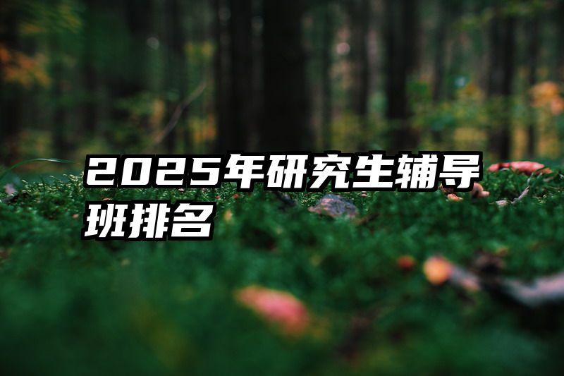 2025年研究生辅导班排名
