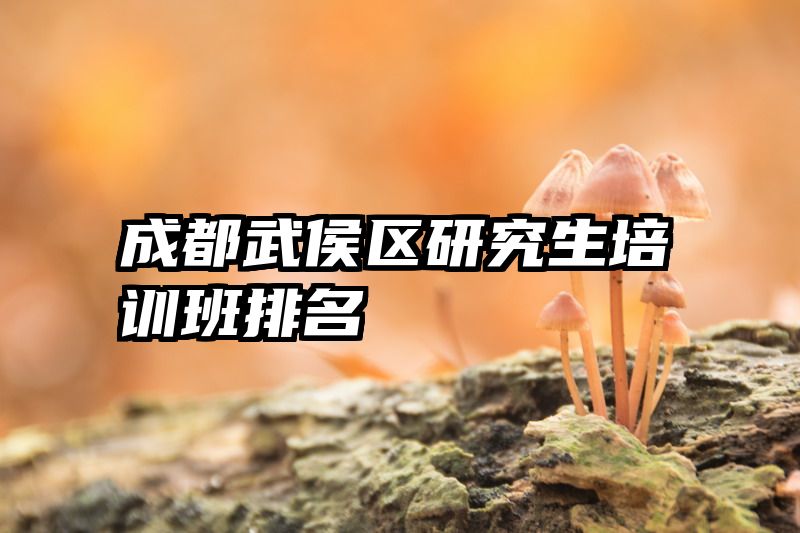 成都武侯区研究生培训班排名