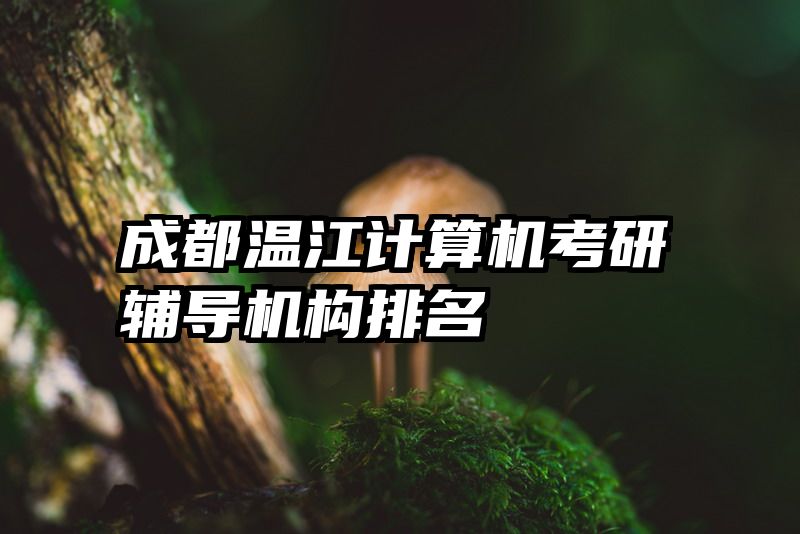 成都温江计算机考研辅导机构排名