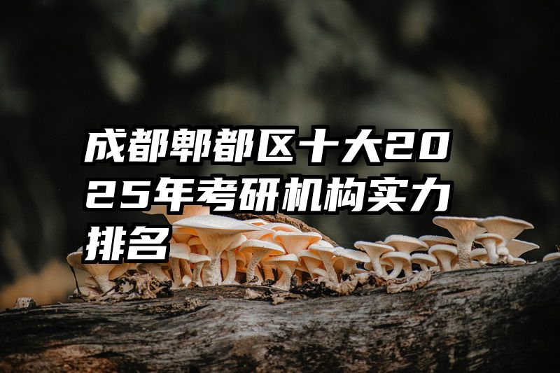 成都郫都区十大2025年考研机构实力排名