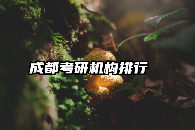 成都考研机构排行