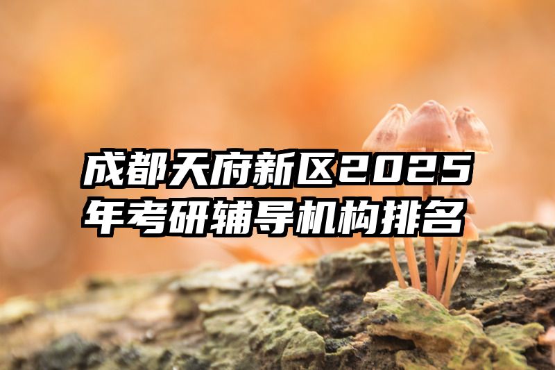 成都天府新区2025年考研辅导机构排名