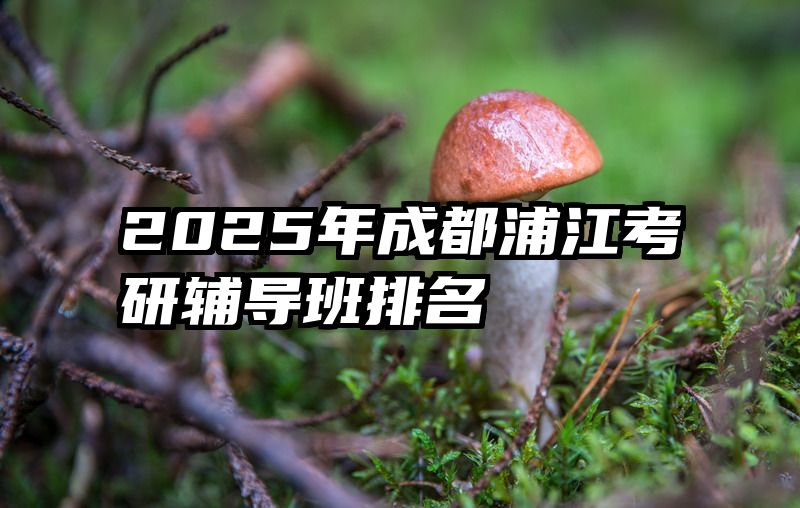2025年成都浦江考研辅导班排名